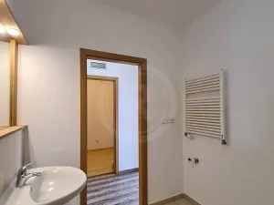 Pronájem bytu 2+kk, České Budějovice, U Lučního jezu, 47 m2