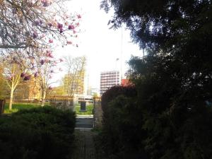 Pronájem pokoje, Zlín, Tyršovo nábřeží, 35 m2