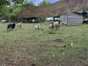 Prodej chaty, Tišnov, 25 m2
