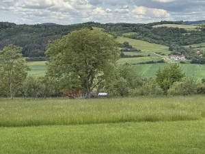 Prodej chaty, Tišnov, 25 m2