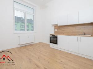 Pronájem bytu 1+kk, Ostrava, Palackého, 20 m2