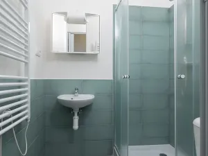 Pronájem bytu 1+kk, Ostrava, Palackého, 20 m2