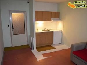 Pronájem bytu 1+kk, Ostrava, Výškovická, 32 m2