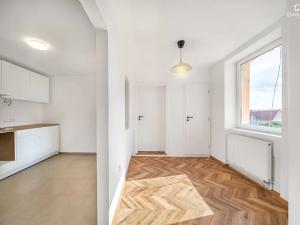 Prodej bytu 1+1, Plzeň, náměstí Míru, 55 m2