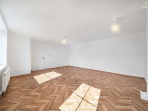 Prodej bytu 1+1, Plzeň, náměstí Míru, 55 m2