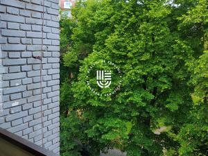 Pronájem bytu 2+kk, Praha - Nusle, Táborská, 58 m2