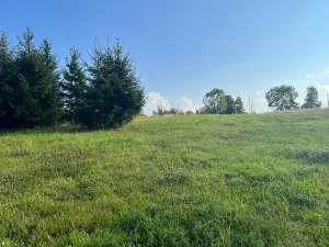 Prodej rodinného domu, Petřvald, Modrá, 77 m2