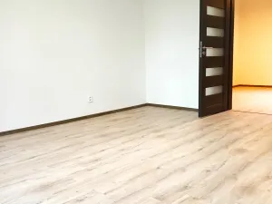 Pronájem bytu 1+1, Děčín, Kamenická, 41 m2