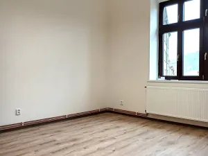 Pronájem bytu 1+1, Děčín, Kamenická, 41 m2