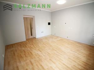 Pronájem bytu 1+1, Plzeň, náměstí T. G. Masaryka, 50 m2