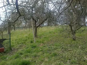 Dražba rodinného domu, Český Brod, Zahrady, 180 m2