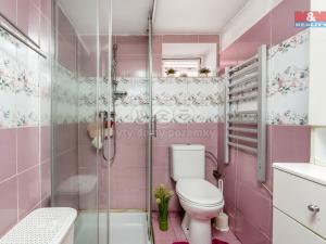 Prodej rodinného domu, Neratovice - Mlékojedy, Hlavní, 174 m2