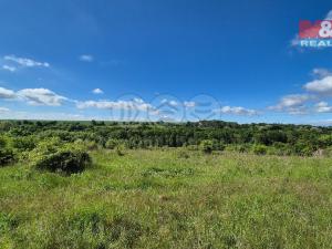 Prodej pozemku pro bydlení, Hrušovany, 30076 m2
