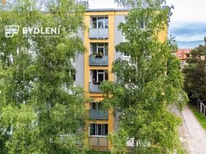 Prodej bytu 4+kk, Litoměřice, Družstevní, 64 m2