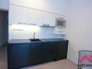 Pronájem bytu 1+kk, Praha - Karlín, U Mlýnského kanálu, 35 m2
