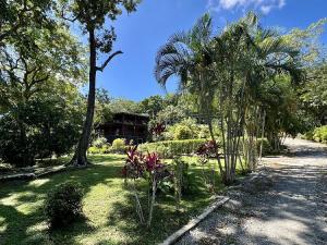 Prodej chaty, Coxen Hole, Roatán, Honduras, 464 m2