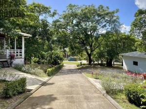 Prodej komerční, Coxen Hole, Roatán, Honduras, 304 m2