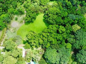 Prodej pozemku, Coxen Hole, Roatán, Honduras, 3265 m2