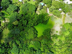 Prodej pozemku, Coxen Hole, Roatán, Honduras, 1617 m2