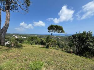 Prodej pozemku, French Harbour, Roatán, Honduras, 2428 m2