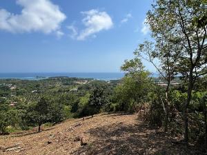 Prodej pozemku, French Harbour, Roatán, Honduras, 2428 m2