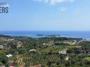 Prodej pozemku, French Harbour, Roatán, Honduras, 2428 m2
