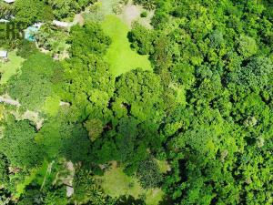 Prodej pozemku, Coxen Hole, Roatán, Honduras, 8984 m2
