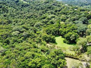 Prodej pozemku, Coxen Hole, Roatán, Honduras, 8984 m2