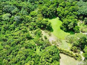 Prodej pozemku, Coxen Hole, Roatán, Honduras, 8984 m2