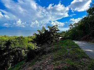 Prodej pozemku, Coxen Hole, Roatán, Honduras, 1000 m2