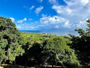 Prodej pozemku, Coxen Hole, Roatán, Honduras, 1000 m2