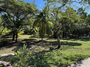 Prodej pozemku, Coxen Hole, Roatán, Honduras, 842 m2