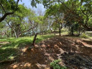 Prodej pozemku, Coxen Hole, Roatán, Honduras, 2107 m2