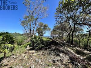 Prodej pozemku, Coxen Hole, Roatán, Honduras, 1594 m2