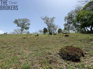 Prodej pozemku, Coxen Hole, Roatán, Honduras, 1594 m2