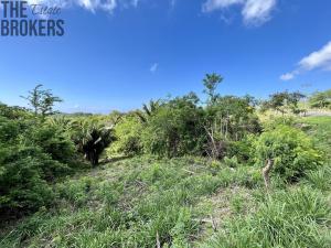 Prodej pozemku, Coxen Hole, Roatán, Honduras, 716 m2