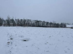Dražba pozemku pro bydlení, Sedliště, 1650 m2