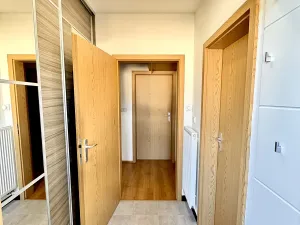 Prodej bytu 2+kk, Nová Ves, Nad Obcí, 49 m2