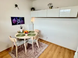 Prodej bytu 2+kk, Nová Ves, Nad Obcí, 49 m2