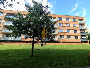 Prodej bytu 1+1, Turnov, Sídliště Jana Patočky, 40 m2