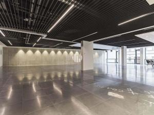 Pronájem kanceláře, Praha - Smíchov, Holečkova, 330 m2
