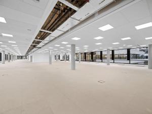 Pronájem kanceláře, Praha - Libeň, Boudníkova, 573 m2