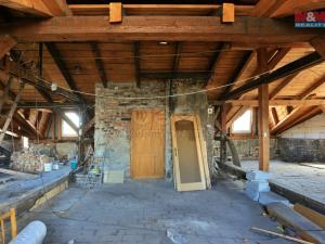 Prodej atypického bytu, Český Těšín, Ostravská, 220 m2