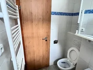 Pronájem bytu 1+1, Karlík, K Třešňovce, 42 m2
