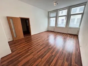 Pronájem bytu 1+1, Karlík, K Třešňovce, 42 m2