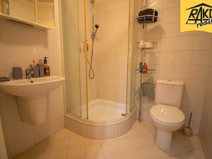Pronájem bytu 2+kk, Mladé Buky, 42 m2
