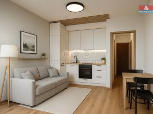 Prodej bytu 1+kk, Klášterec nad Ohří - Miřetice u Klášterce nad Ohří, Královéhradecká, 19 m2