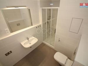 Pronájem bytu 1+kk, Praha - Žižkov, Za Vackovem, 36 m2