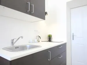 Pronájem bytu 1+kk, Brno, Palackého třída, 21 m2