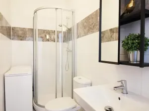 Pronájem bytu 1+kk, Brno, Palackého třída, 21 m2